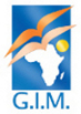 Gim Logo